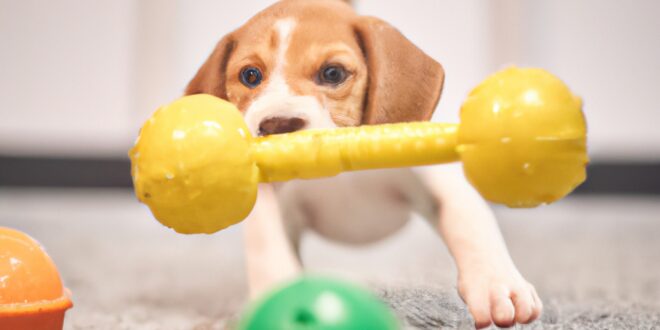 Pet Energy: Mastering the Art of Efficient Coaching