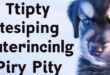 5 Very critical Nippy Pet Practising Guidelines