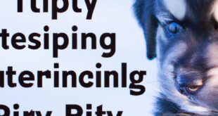 5 Very critical Nippy Pet Practising Guidelines