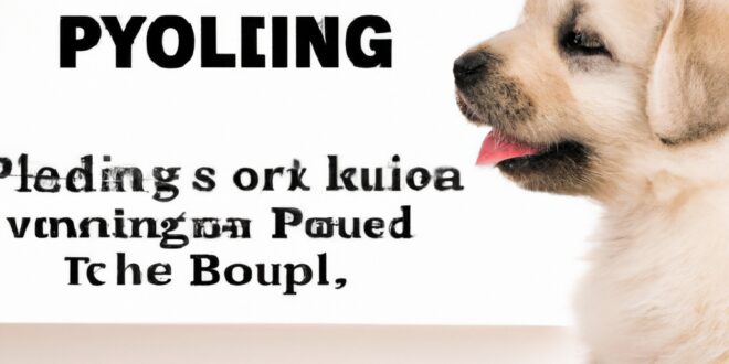 Pup-Schooling: Confirmed Guidelines to Explain a Nippy Pup